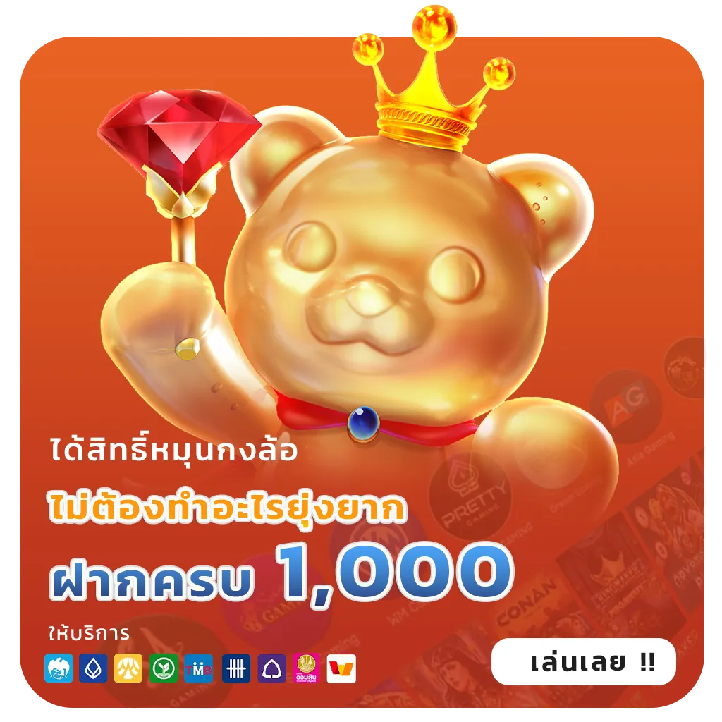 เว็บ d4 bkk